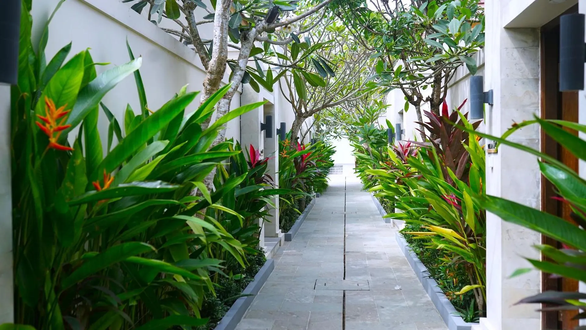 D'Avera Villa Canggu Ινδονησία