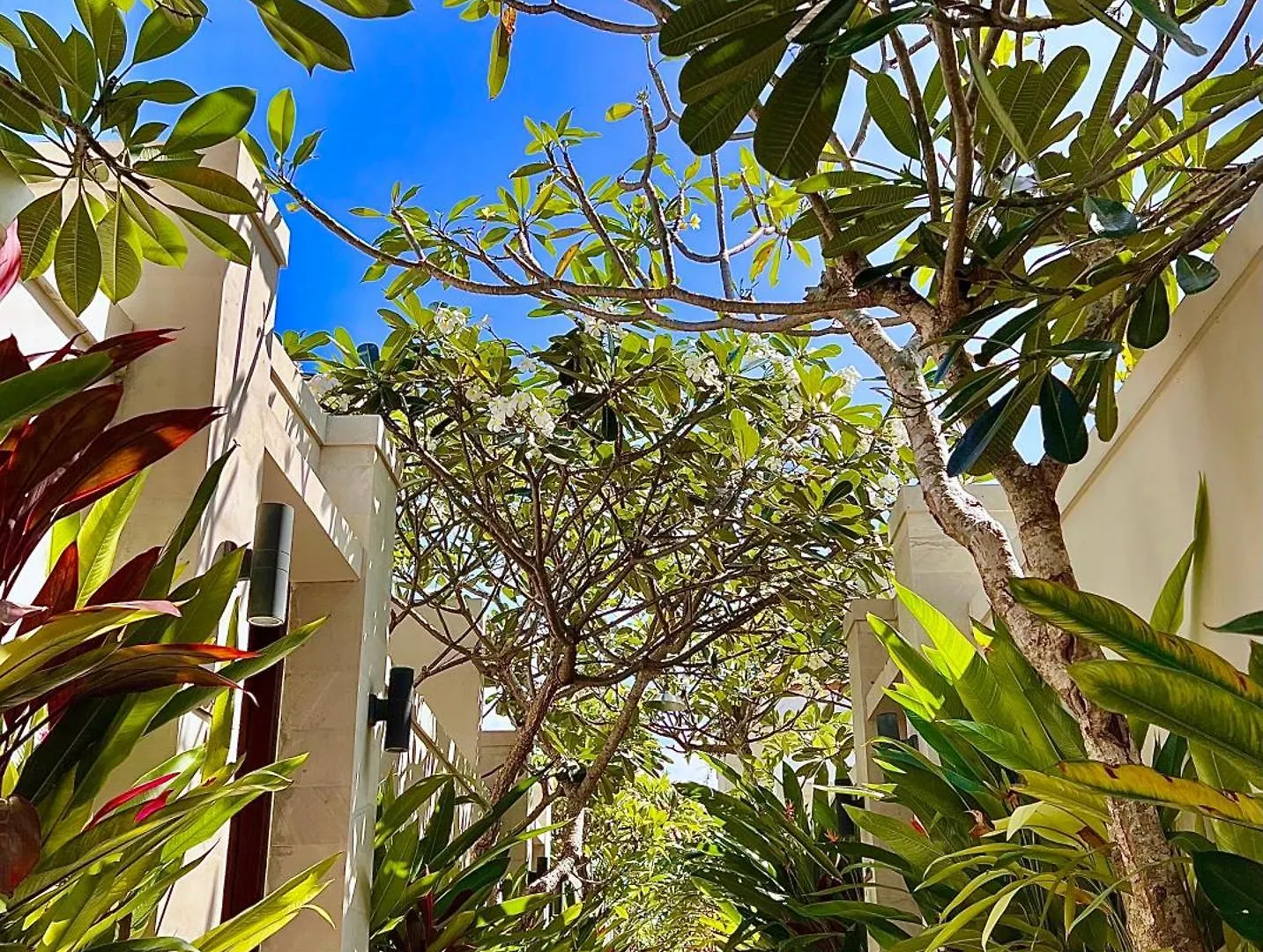 D'Avera Villa Canggu